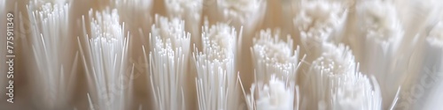 Close-up on the intricate texture of white toothbrush bristles, showing the fine details and cleanliness, high-resolution photo