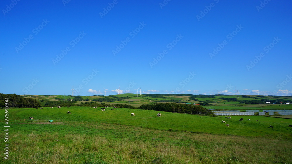 Obraz premium サロベツ原野