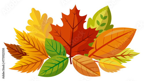 autumn leaves collection vector illustration
