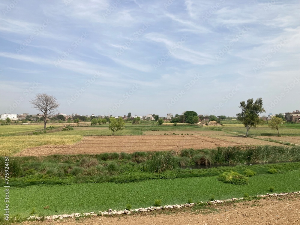 Obraz premium landscape in region