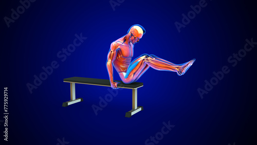 Vastus lateralis  muscle exercise 3d illustration photo