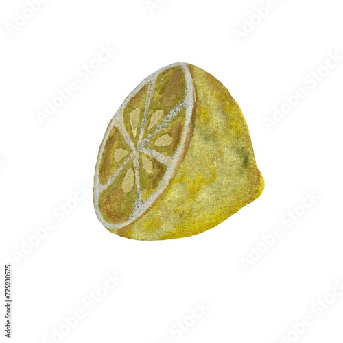 Lemon fruit yellow half a watercolor illustration