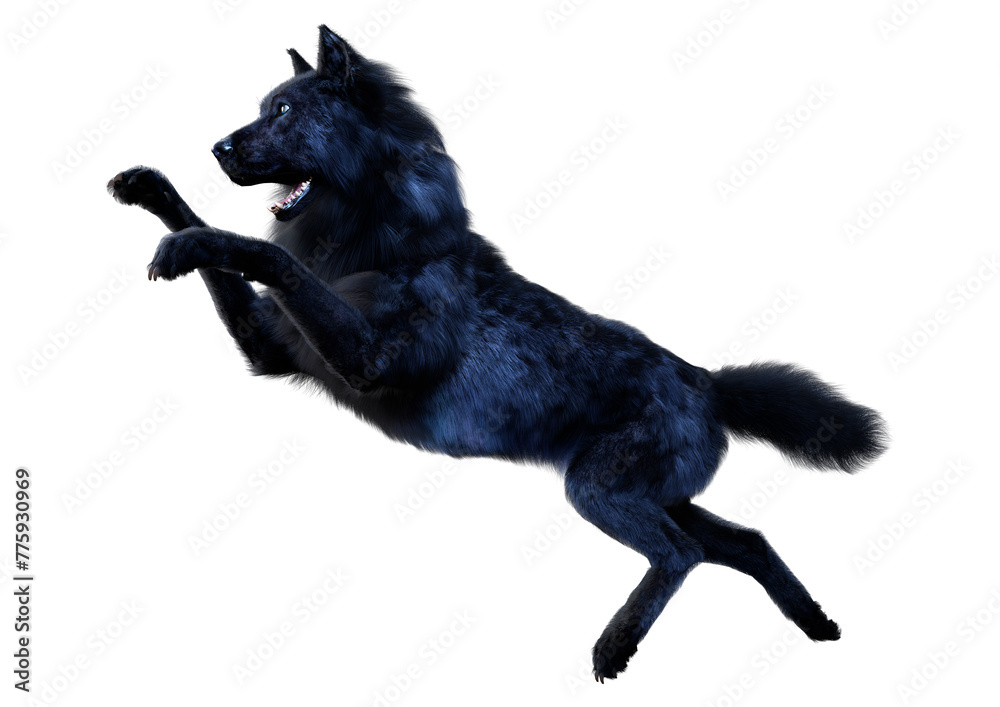 3D Rendering Black Wolf on White 3D Rendering Black Wolf on White