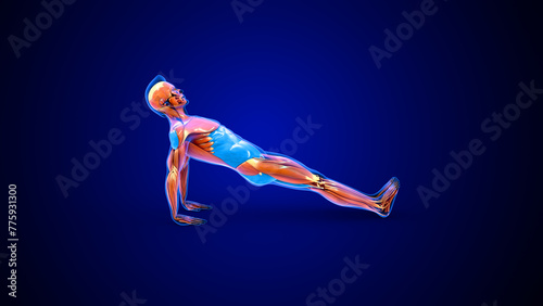 Deltoid and abdominal workout 3d illustration © 7activestudio