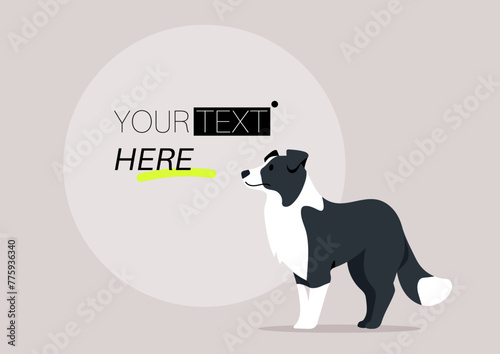 Canine Elegance, Border Collie Showcasing Your Message, A sleek dog stands beside a customizable text bubble