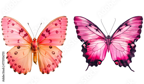 Set of pink butterflies on a transparent background.