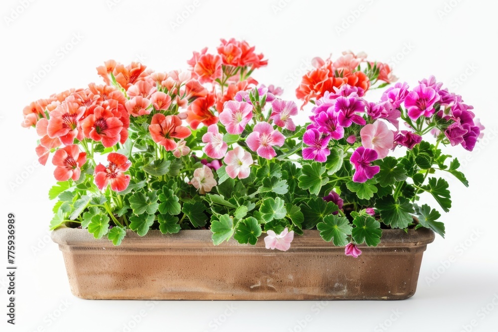 Bright and vibrant flowers in a decorative pot. Perfect for gardening or nature concepts