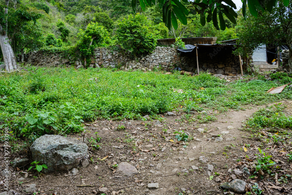 Obraz premium naturaleza zona andina Colombiana