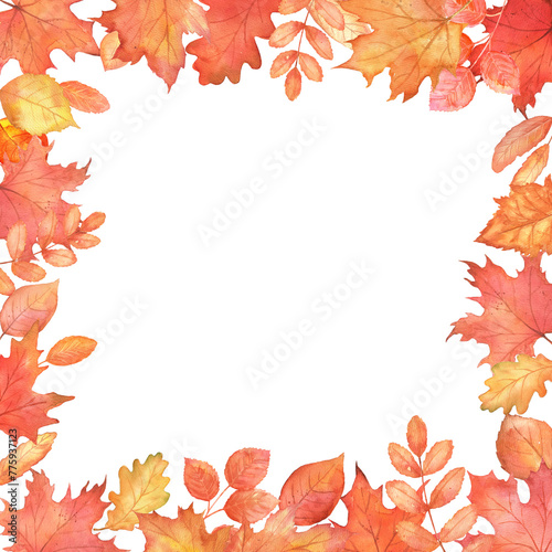 Square fall frame with orange leaves. Autumn falling maple and oak leaves with copy space.