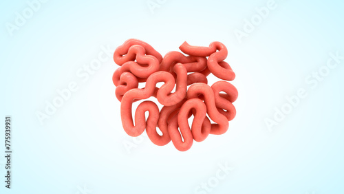 Human Organ small intestine 3d illustration