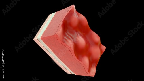 Tableau sur toile Heart wall layers (Epicardium, Myocardium, and Endocardium) 3d illustrator