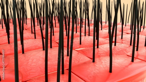 Fotografia Simple squamous epithelium tissue close-up view 3d illustration