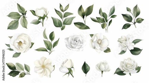 White flowers and leaves arranged on a white background. Perfect for botanical or minimalist design projects #775946321