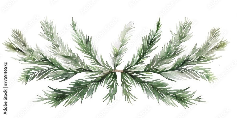 Detailed watercolor painting of a pine tree branch. Perfect for nature-themed designs Detailed watercolor painting of a pine tree branch. Perfect for nature-themed designs