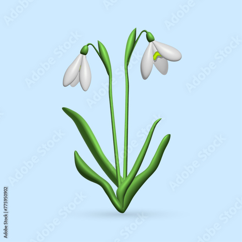 3d drawing of two snowdrop flowers, with a light blue background
