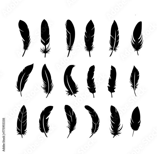 vector bird feather icons set on white background. bird wing feathers. fluffy elegance flying feather.