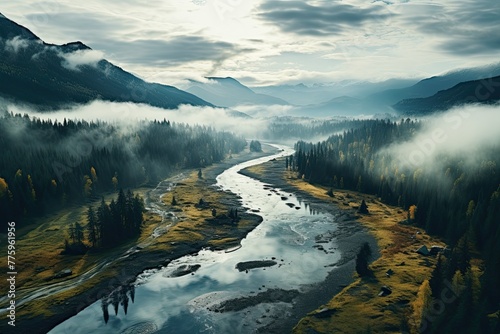 Big forest in Siberia Taiga. Autumn forest. Generative AI Art. Beautiful view.