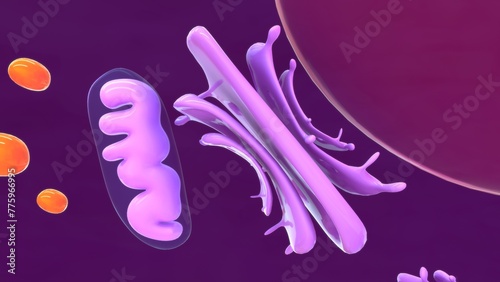 Chief cell close up (zymogenic cell or peptic cell) 3d illustration photo