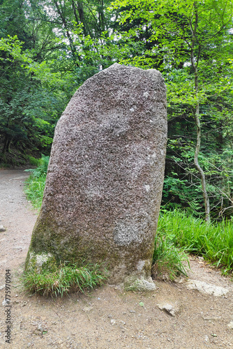 The Menhir of the wild boar pond in the forest of Huelgoat photo