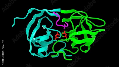 Proteolytic enzymes (proteases) structure 3d illustration photo
