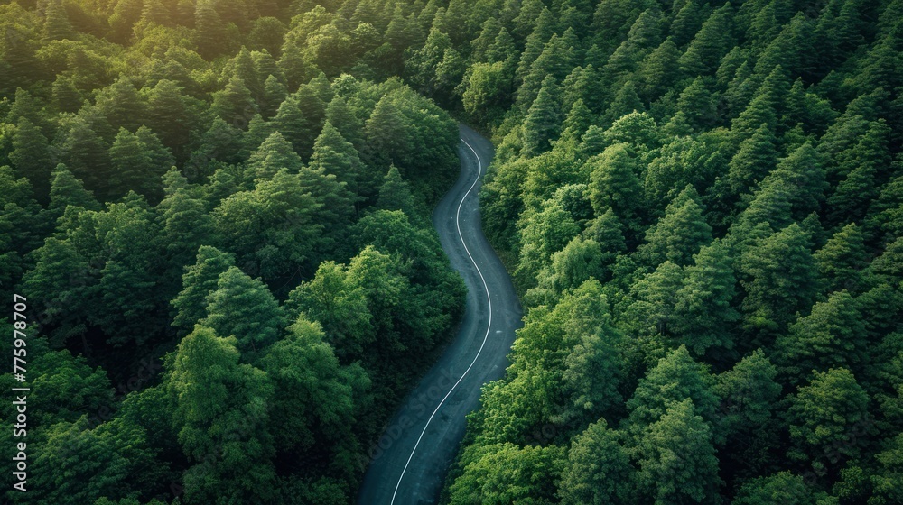Top view of extreme winding road in the middle of the forest Top view of extreme winding road in the middle of the forest