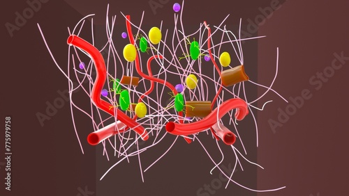 Quadro em tela Dense connective tissue 3d illustration