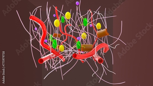 Dense connective tissue 3d illustration photo