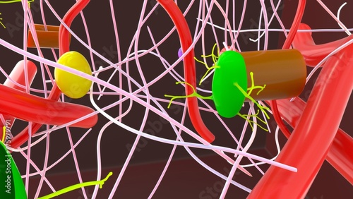 Dense connective tissue 3d illustration photo