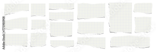 Elongated horizontal set of torn pieces of checkered paper isolated on a white background. Paper collage. Vector illustration.