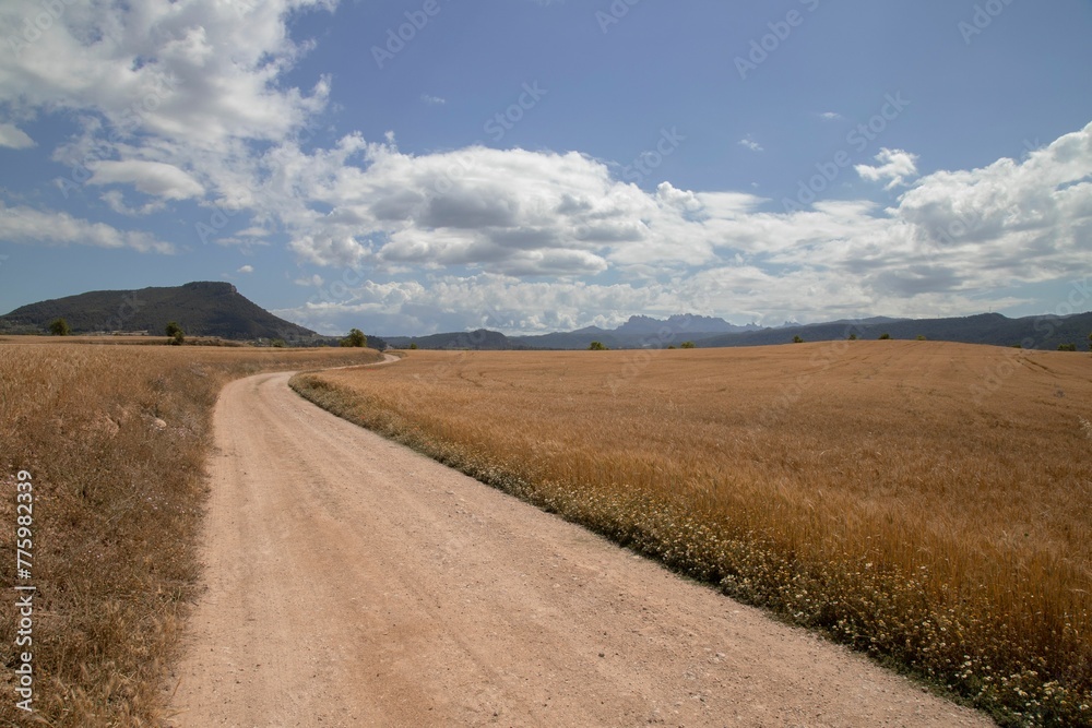 Beautiful view of a road through the field on a sunny day