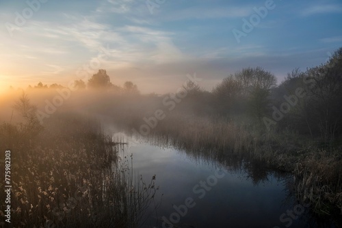Mesmerizing sunrise landscape of a river with the misty forest around in Poland