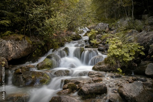 Long exposure view of water cascading over rocks in a forest