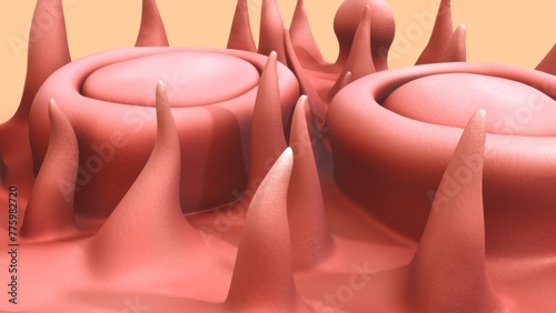 Vallate papillae lie directly anterior to the sulcus terminalis and extend in a V-shaped line across the root of the tongue 3d Illustration photo
