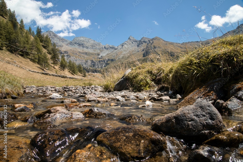 Closeup shot of a mountain stream on a sunny summer day