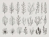Set of hand drawn branches and leaves. Vector illustration in sketch style.