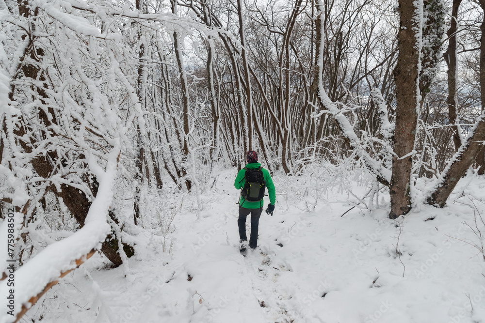 Man with hiking outfit walking in the snowy woods