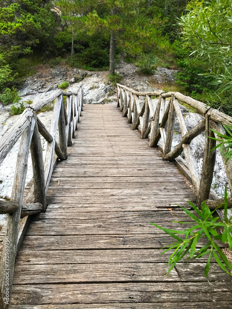 Obraz premium Old wooden bridge over mountain stream, Mount Olympus, Greece. beautiful places in Greece. Old bridge in the forest