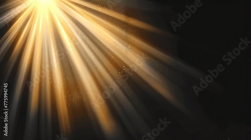 Brilliant beams of sunlight shining through, captured as an overlay effect