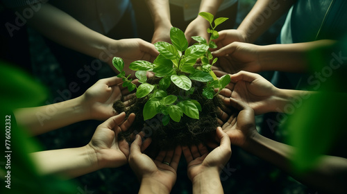 Green business forest of growing with plants in hands. Sustainability and earth in hands of people for teamwork, support, environment Collaborating, growing, investing in people, soil for future. © AK528