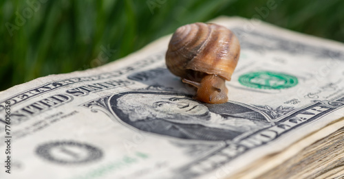 A snail crawls across a stack of $1 bills