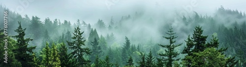 A wide panorama of a dense, foggy forest, with a white background and soft green tones. A misty forest landscape with a grey sky and green trees, showing a panoramic view in the fog