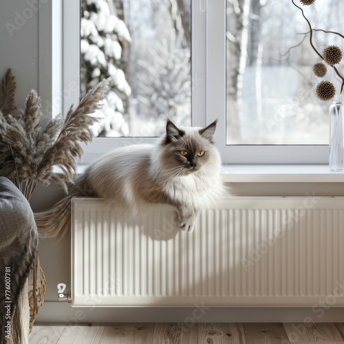persian cat in cozy modern setting - elegant feline relaxing on white radiator in bright interior