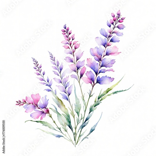 watercolor Spring flower collection. Spring Floral Bouquet flower Watercolor Blue Flower Blooming 