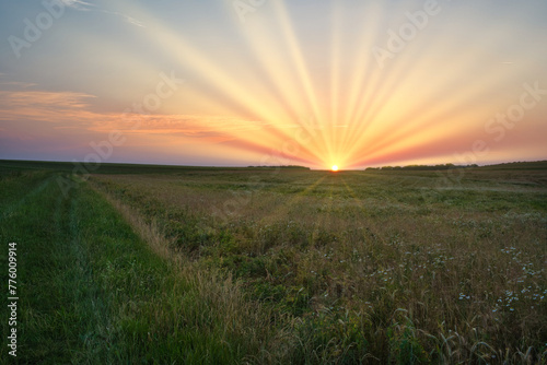 Untergehende Sonne über einer Sommerwiese