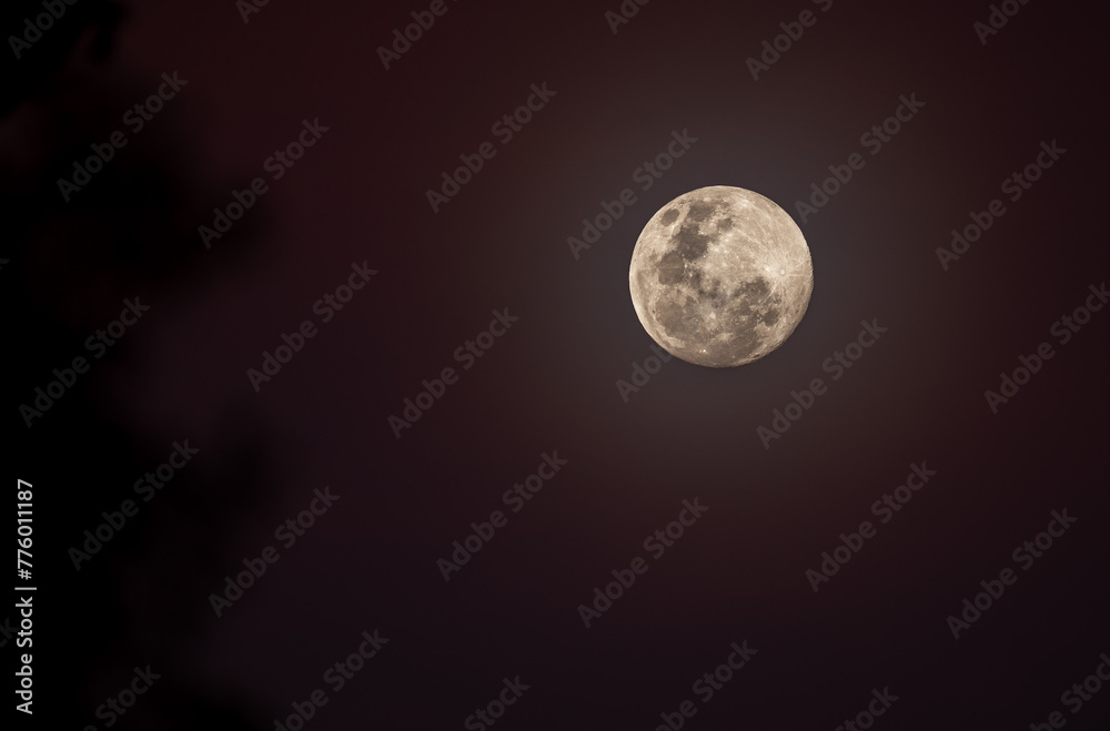 Fototapeta premium Full moon in the sky