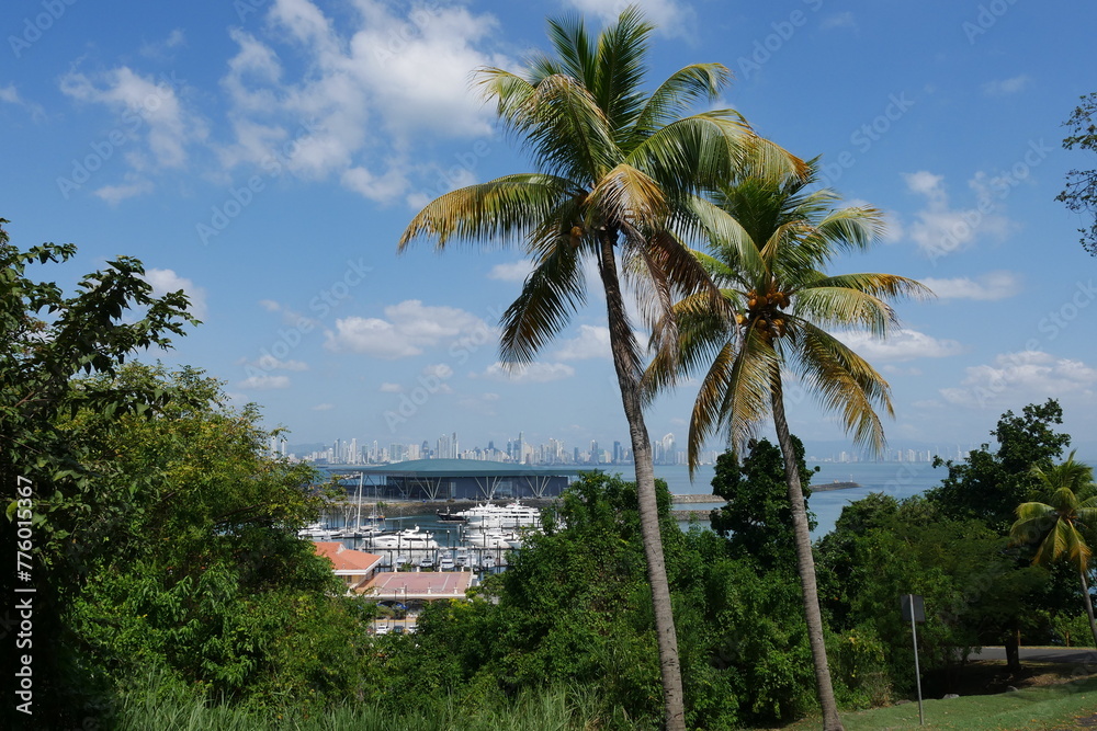 Insel Flamenco bei Amador mit Palmen und Blick nach Panama-Stadt in Panama