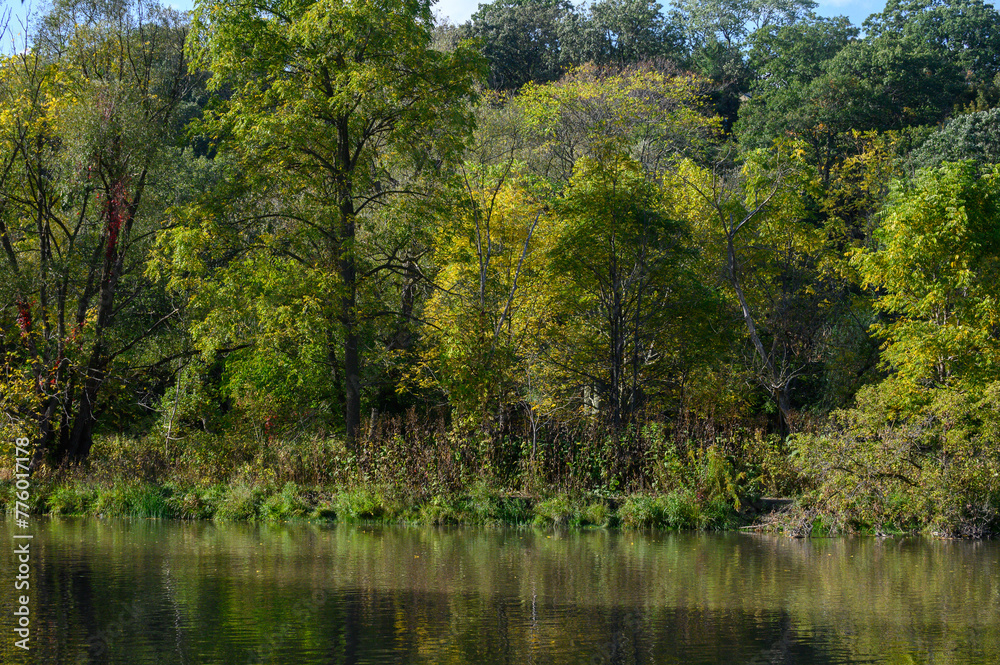 Humber riber in fall season Humber riber in fall season