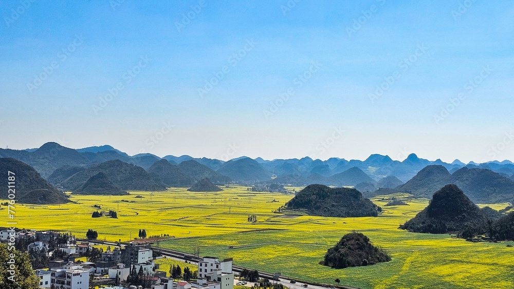 Yellow flowers bloom among traditional Chinese architecture in Loupin Rooster Hills