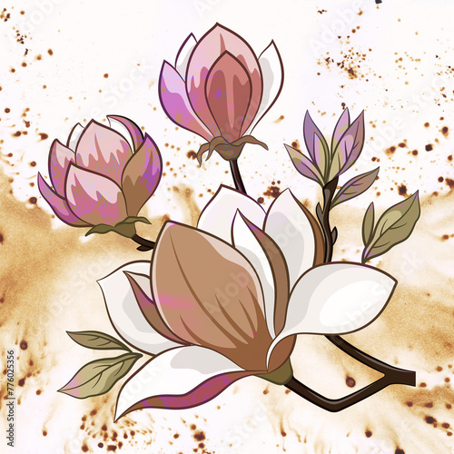 Spring Blossoming Magnolia Tree Flowers on Hand-Draw Watercolor Painting Background