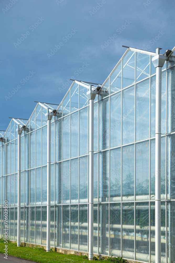 The modern appearance of vegetable greenhouses The modern appearance of vegetable greenhouses